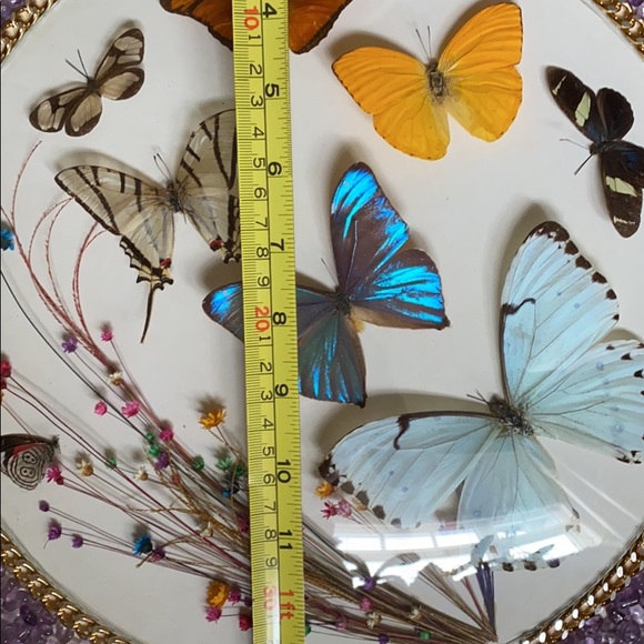 Boho Vintage Butterflies Display - Picture 5 of 7